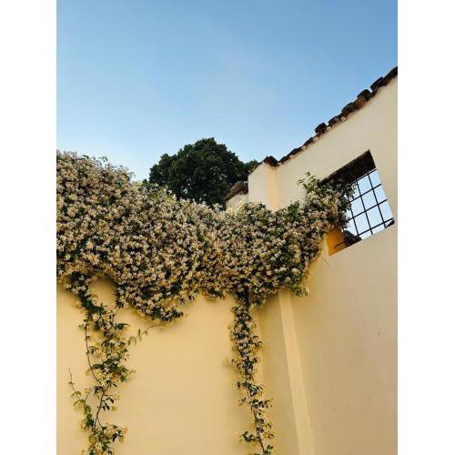 Residenza La Corte