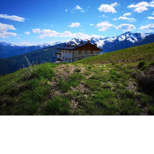 Restor Natura Malga Mondent
