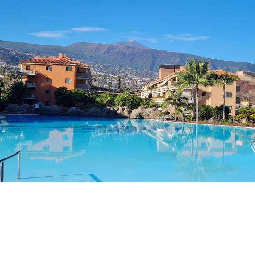 Retama del Teide, Puerto de la Cruz
