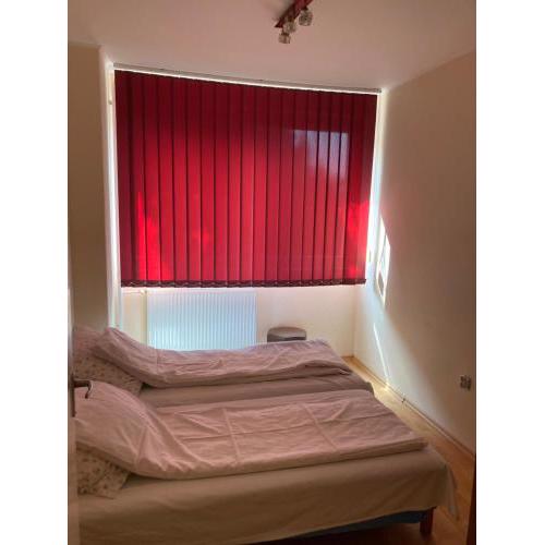 Retro House