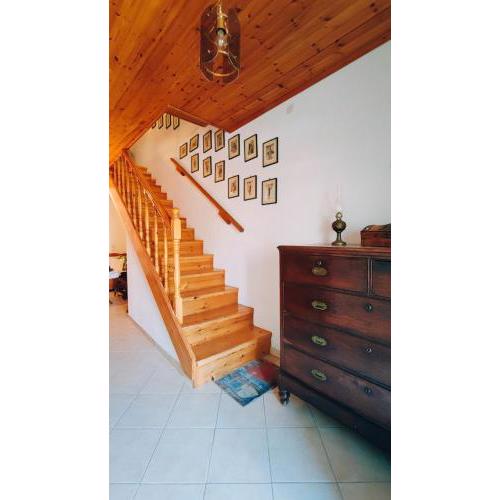 Retro Wooden House Gaios