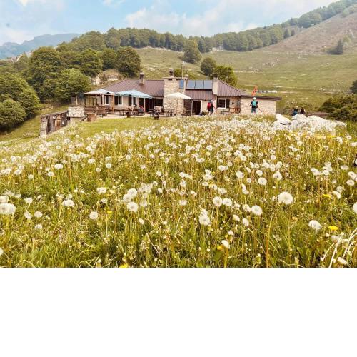 Rifugio Baita Fos-Ce