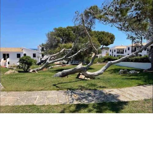 Rincon arenal