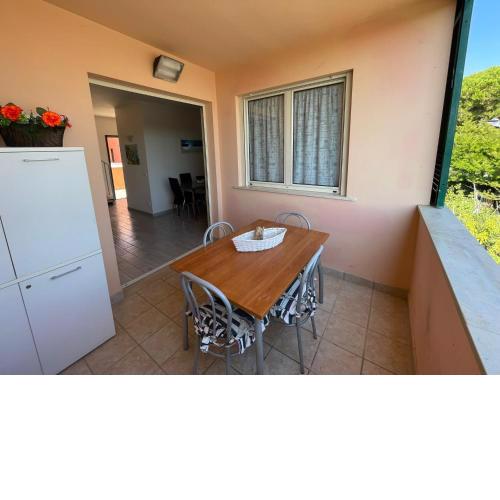 Rio Home