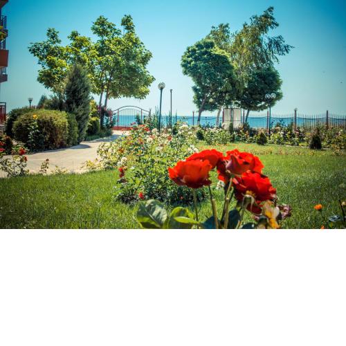 Riviera Fort Beach Apartments