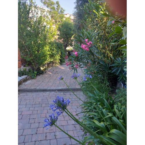 Riviera Garden