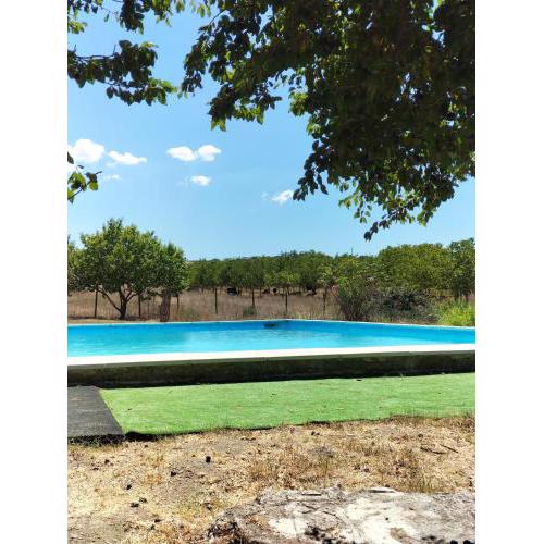 Rod Ranch Livestock - Stanza doppia con letti singoli