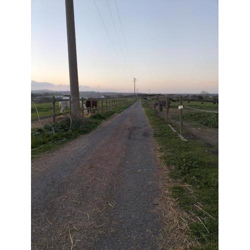 Rod Ranch Livestock - Stanza double room
