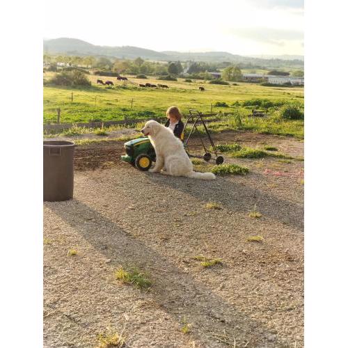 Rod Ranch Livestock - Stanza matrimoniale in clubhouse