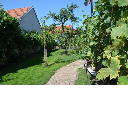 Rodinný dům Mikulov