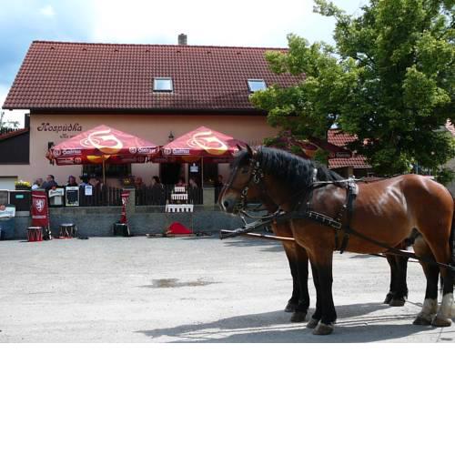 Rodinny Penzion s Restauraci - Hospudka na Navsi