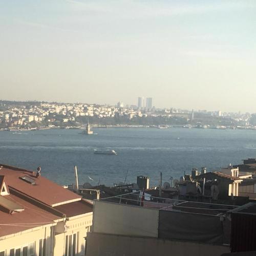 Roj Suite
