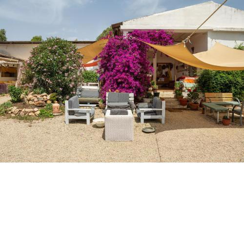 Romance Tent In The Eucaliptus
