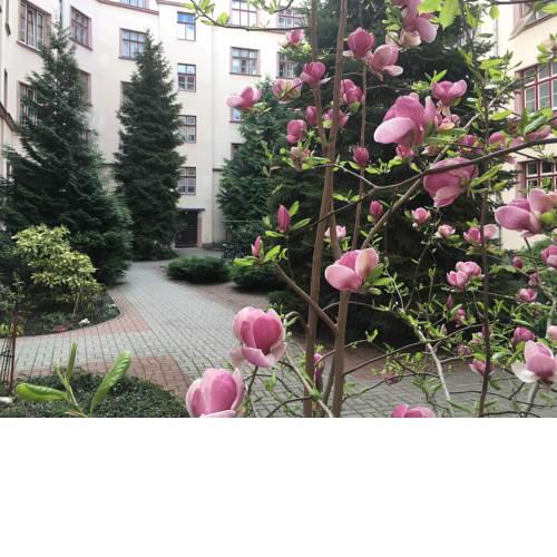 Romantik Apartment City Center