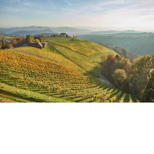 Romantisches Ferienhaus Südsteiermark, Hunde erlaubt