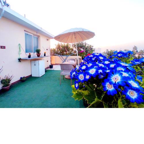 Roof for rent, Street 9, Maadi