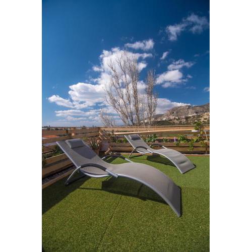 Roof garden- floor apartment