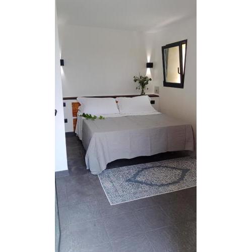room 8