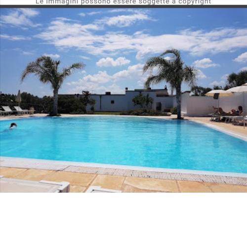 Room in BB - Spacious quadruple room in ancient Masseria near the sea in a quiet olive trees