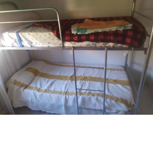 Room in Guest room - Double Bunk Room Toledo