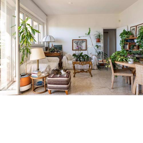 Room whit Small Double Bed and private Small bathroom between Mondello beach and the Historic Center! Free park!