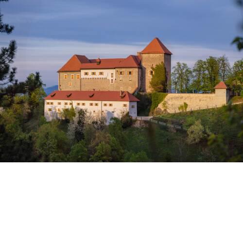 Rooms & Apartments Podsreda Castle