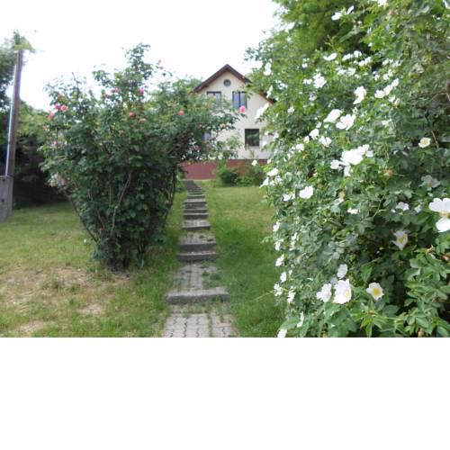 Rooms for Wildroses