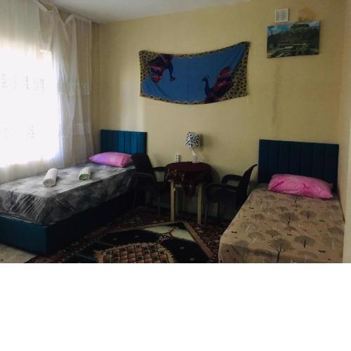 Rosa Hostel