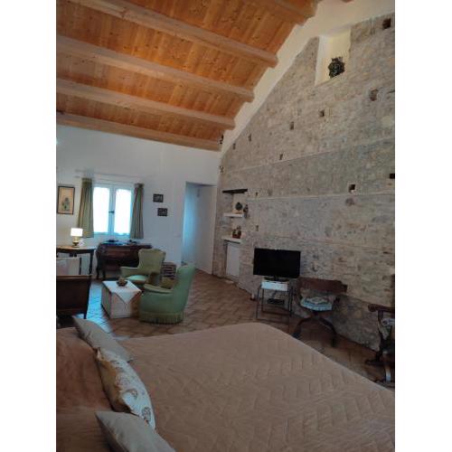 Rosa Thea Suite