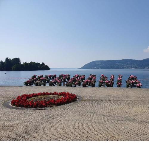 Rosa&Mario Lake House