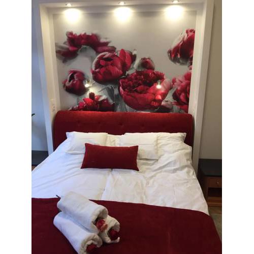 Rose Bed