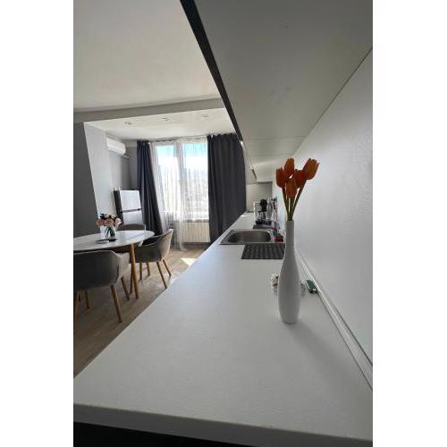 Rose's apartment , self check-in, close to metro
