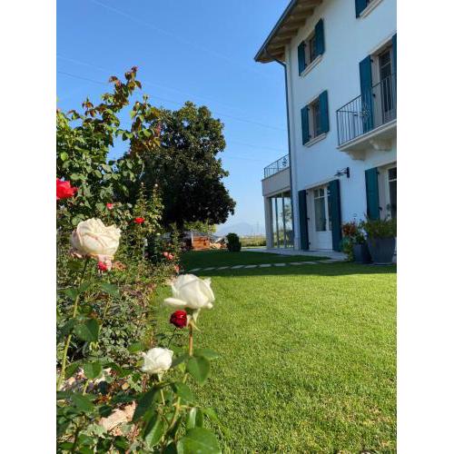 ROSETO HOLIDAYS AZZURRO