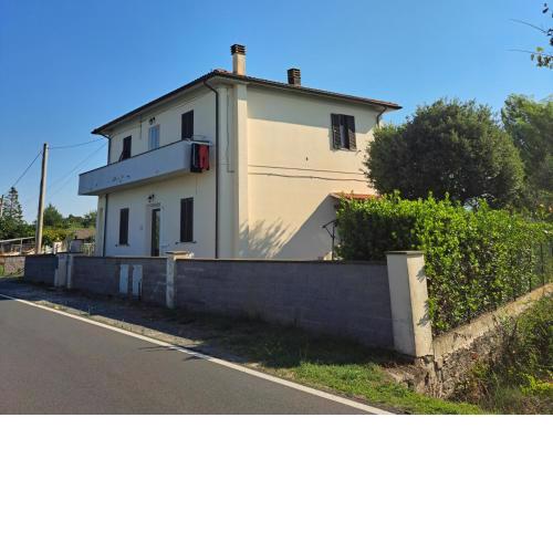 Rosignano Marittimo Rosa Bianca
