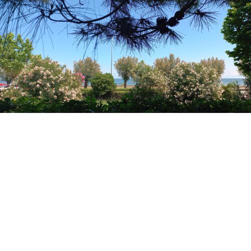 RosMarino_Appartamento Fronte Mare