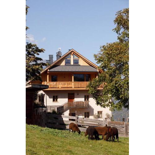 Rotwandterhof Wohnung Nest
