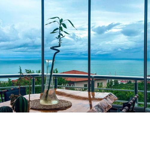 Royal Premier Suite - شقق رويال بريمير العربية