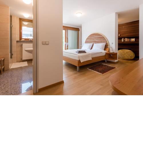 Rožna Dolina Apartment