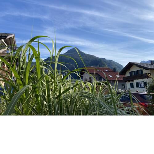 Ruheparadies Lou