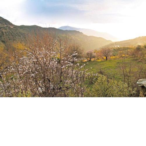Rural House, heated pool & steam room, Casa Aloe.
