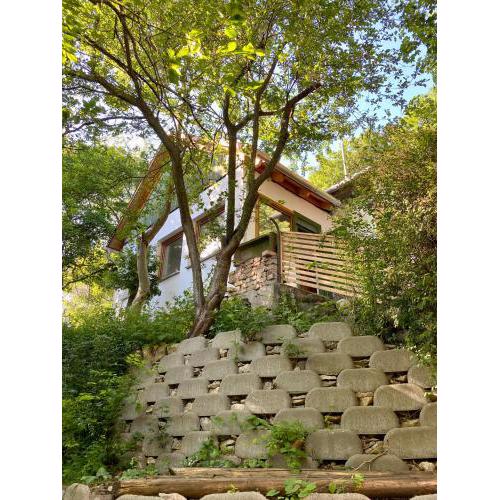 Rustic Cottage & Garden Retreat on Buda Hilltop