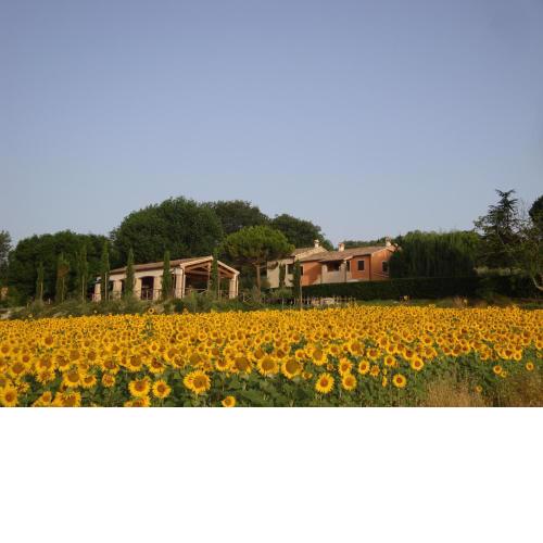 Rustico del Conero