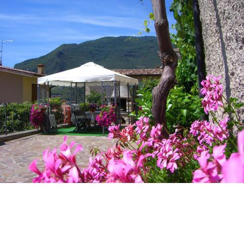 Rustico Piletta, I Fiori - Rebomaholidays