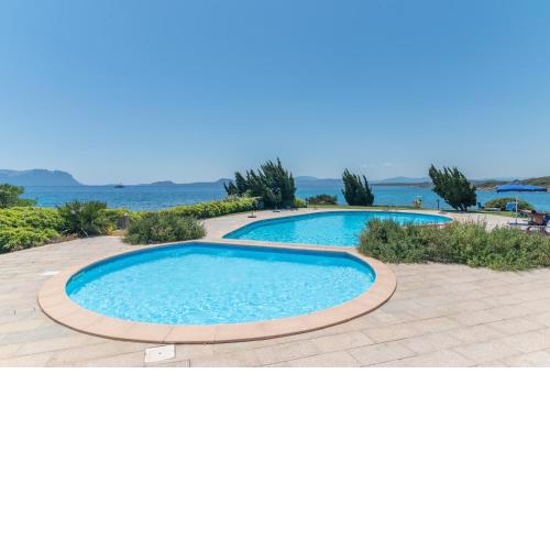 Sabba 31 - shared pool