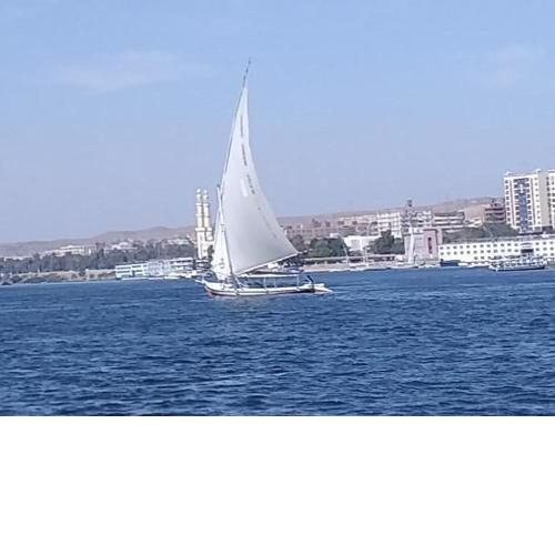 SAFARI mourad