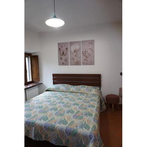 SAILA appartamento VENERE