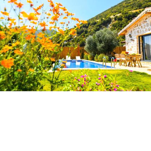Salep Evi