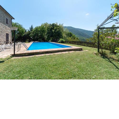 Salice nella campagna di Assisi