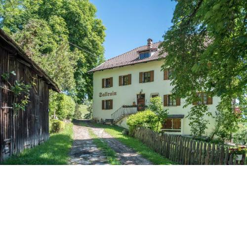 Sallrain Hof Apartment 1
