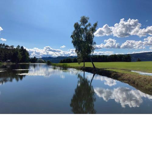 Salmsein Biohof